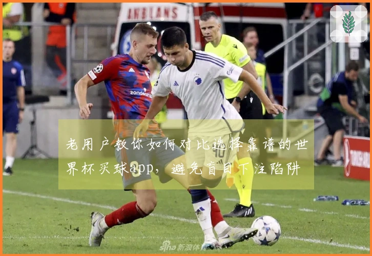 老用户教你如何对比选择靠谱的世界杯买球app，避免盲目下注陷阱
